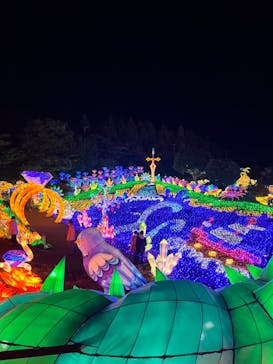 伊豆ぐらんぱる公園に投稿された画像（2022/11/19）