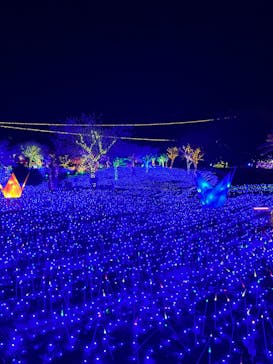 伊豆ぐらんぱる公園に投稿された画像（2022/11/19）