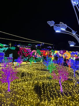 伊豆ぐらんぱる公園に投稿された画像（2022/11/19）