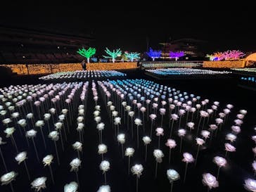 東京メガイルミに投稿された画像（2022/11/19）