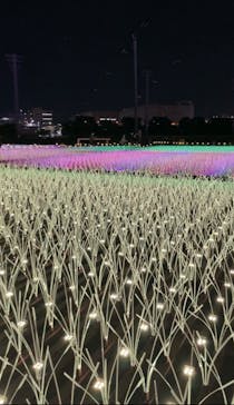 東京メガイルミに投稿された画像（2022/11/19）