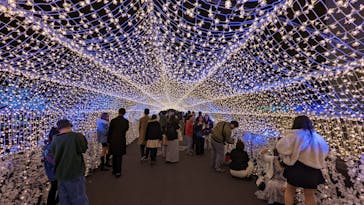 東京メガイルミに投稿された画像（2022/11/19）