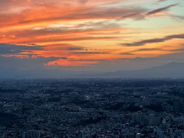 横浜ランドマークタワー 69階展望フロア スカイガーデンに投稿された画像（2022/11/19）