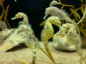 株式会社Gに投稿された画像（2022/11/19）