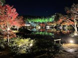 国営昭和記念公園 秋の夜散歩に投稿された画像（2022/11/19）