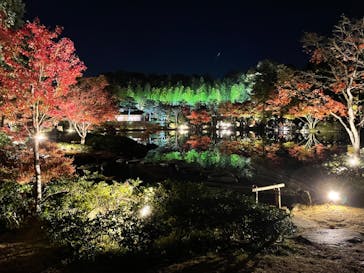 国営昭和記念公園 秋の夜散歩に投稿された画像（2022/11/19）