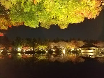 国営昭和記念公園 秋の夜散歩に投稿された画像（2022/11/19）