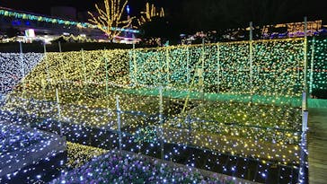 とっとり花回廊に投稿された画像（2022/11/19）