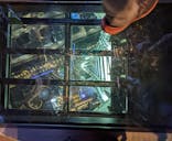 東京スカイツリーに投稿された画像（2022/11/19）