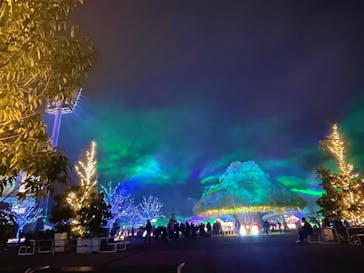 東京メガイルミに投稿された画像（2022/11/19）