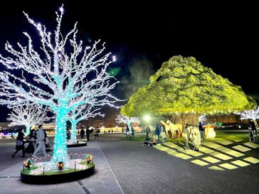 東京メガイルミに投稿された画像（2022/11/19）