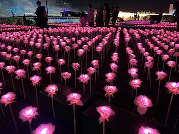 東京メガイルミに投稿された画像（2022/11/19）