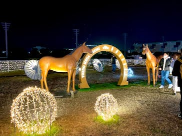 東京メガイルミに投稿された画像（2022/11/19）