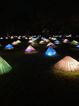 国営昭和記念公園 秋の夜散歩に投稿された画像（2022/11/19）