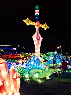 伊豆ぐらんぱる公園に投稿された画像（2022/11/19）