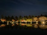 国営昭和記念公園 秋の夜散歩に投稿された画像（2022/11/20）