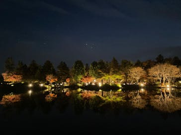 国営昭和記念公園 秋の夜散歩に投稿された画像（2022/11/19）