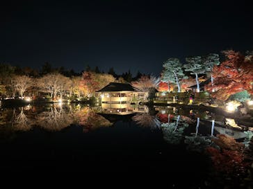 国営昭和記念公園 秋の夜散歩に投稿された画像（2022/11/19）