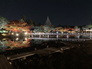 国営昭和記念公園 秋の夜散歩に投稿された画像（2022/11/19）