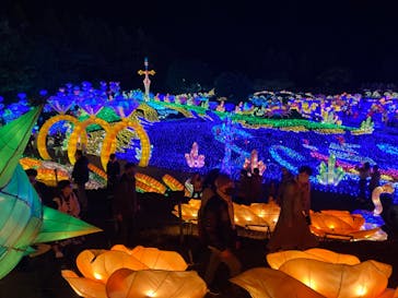 伊豆ぐらんぱる公園に投稿された画像（2022/11/19）