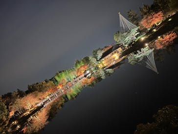 国営昭和記念公園 秋の夜散歩に投稿された画像（2022/11/19）