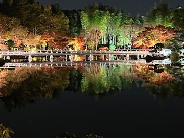 国営昭和記念公園 秋の夜散歩に投稿された画像（2022/11/19）