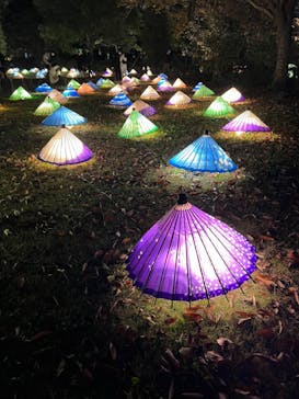 国営昭和記念公園 秋の夜散歩に投稿された画像（2022/11/19）