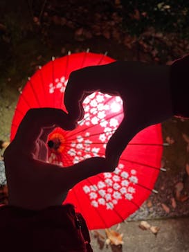 国営昭和記念公園 秋の夜散歩に投稿された画像（2022/11/19）