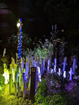 ムーミンバレーパークに投稿された画像（2022/11/19）