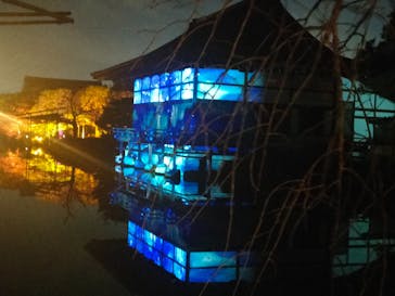 NAKEDヨルモウデ2022平安神宮に投稿された画像（2022/11/19）