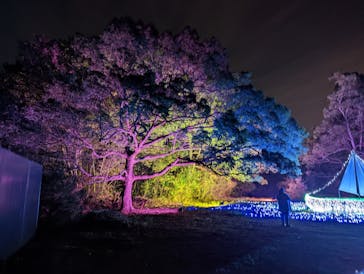 ムーミンバレーパークに投稿された画像（2022/11/19）