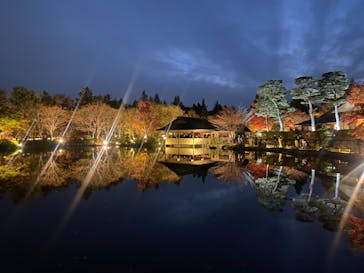 国営昭和記念公園 秋の夜散歩に投稿された画像（2022/11/19）