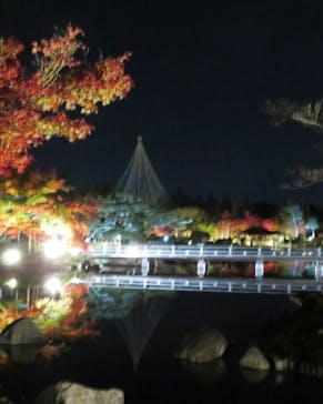 国営昭和記念公園 秋の夜散歩に投稿された画像（2022/11/19）