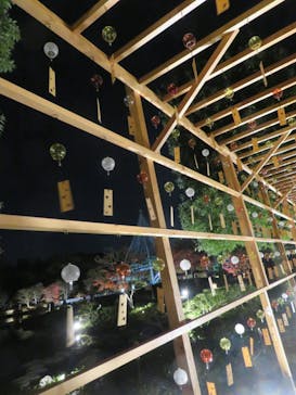 国営昭和記念公園 秋の夜散歩に投稿された画像（2022/11/19）