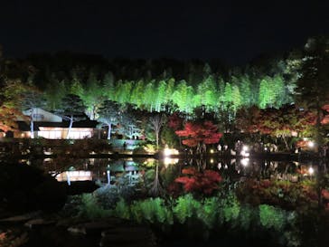 国営昭和記念公園 秋の夜散歩に投稿された画像（2022/11/19）
