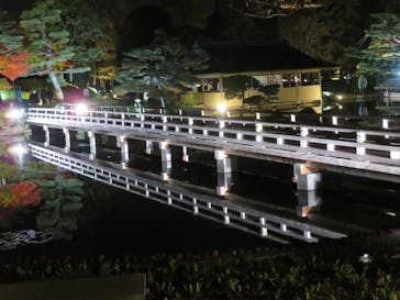 国営昭和記念公園 秋の夜散歩に投稿された画像（2022/11/19）