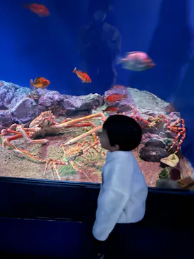 名古屋港水族館に投稿された画像（2022/11/19）