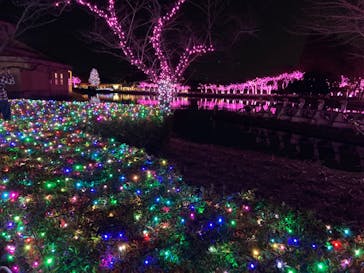 東武動物公園に投稿された画像（2022/11/19）