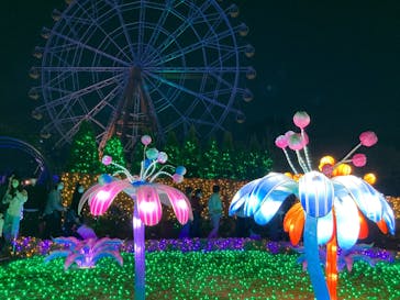 東武動物公園に投稿された画像（2022/11/19）