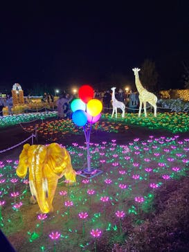 東武動物公園に投稿された画像（2022/11/19）