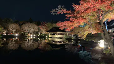 国営昭和記念公園 秋の夜散歩に投稿された画像（2022/11/19）