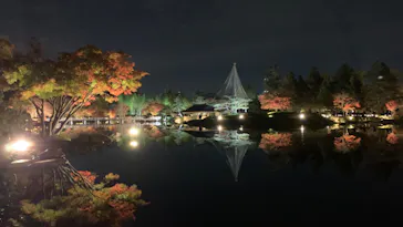 国営昭和記念公園 秋の夜散歩に投稿された画像（2022/11/19）