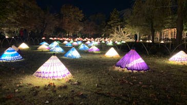 国営昭和記念公園 秋の夜散歩に投稿された画像（2022/11/19）