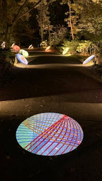 国営昭和記念公園 秋の夜散歩に投稿された画像（2022/11/19）