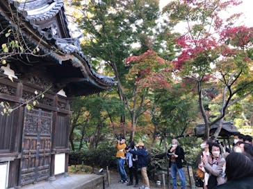 三溪園に投稿された画像（2022/11/19）