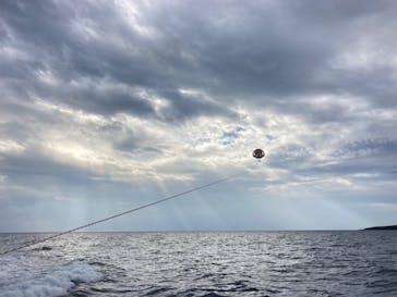 Sea World（シーワールド）に投稿された画像（2022/11/20）