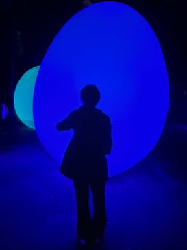 チームラボ ボタニカルガーデン 大阪に投稿された画像（2022/11/20）