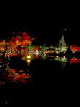 国営昭和記念公園 秋の夜散歩に投稿された画像（2022/11/20）