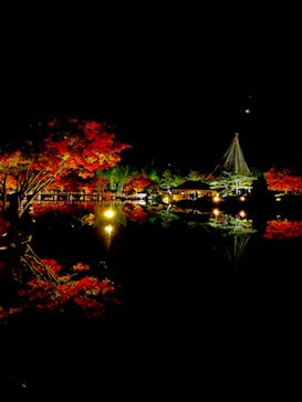国営昭和記念公園 秋の夜散歩に投稿された画像（2022/11/20）