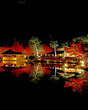 国営昭和記念公園 秋の夜散歩に投稿された画像（2022/11/20）